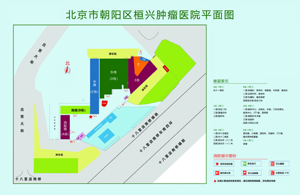 操肥逼一H北京市朝阳区桓兴肿瘤医院平面图